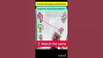 5 brain boosting concepts/ improve visual perception/age 3+