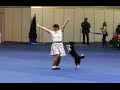 Танцы с собаками "Кубок Мастеров 2013". Dog Dancing. Canine Freestyle.