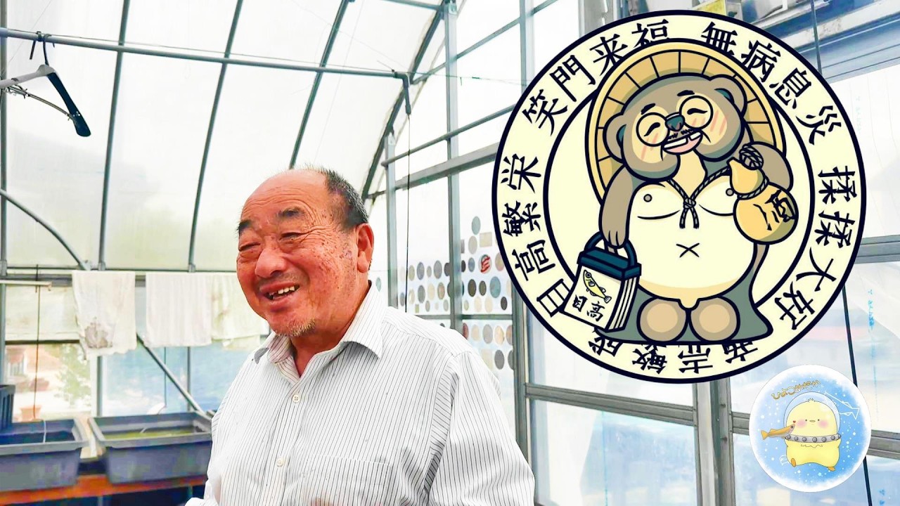 【2026年春】雪舟めだかこと木口さんの飼育場を訪れました。【ひよこめだか/メダカ飼育】