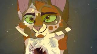 Warrior Cats - Bones Shatter