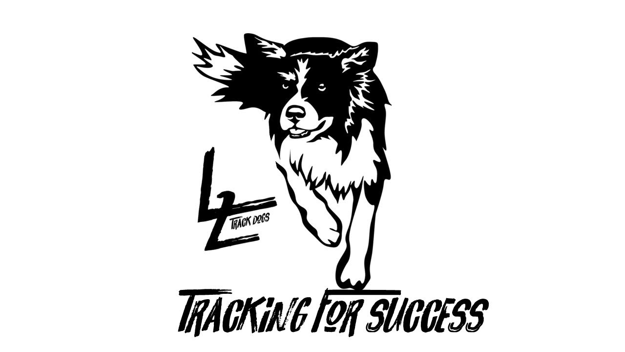 Walk up Lie Down L2 Track Dogs YouTube