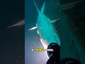 5 Most Terrifying Animals Found In The Ocean #animals #wildlife