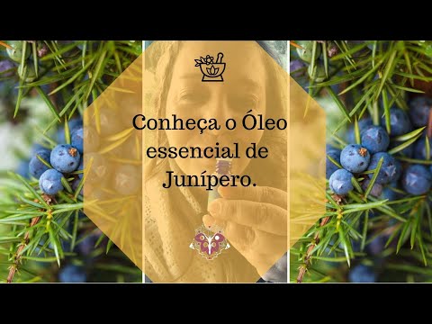 Vídeo: Junípero - Propriedades úteis, O Uso De Frutas E óleos