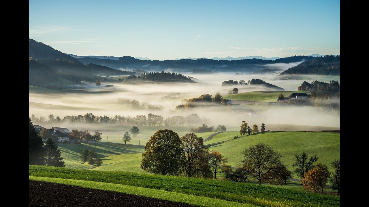 ウィーンの森の物語（Tales from the Vienna Woods） - YouTube