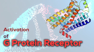 Activation of G protein receptor | G Protein-coupled Receptor