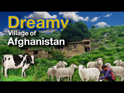A Day in a Farmer's Life Milking Goats | Afghanistan's Hidden Villages