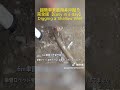 DIY井戸掘り ⑦