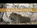Animals of the Okavango Delta, Botswana - What you'll see on safari!