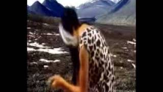 Homo Sapiens--Origenes