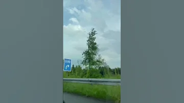 اللهم صل على النبي راكب البراق سيدنا محمد 