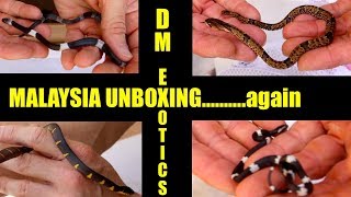 Malaysia Unboxing...again
