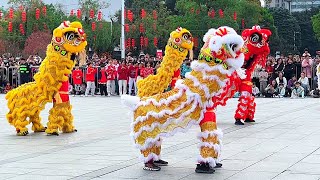 Lion Dance part 1 | children's performance | Chinese New Year | Celebrate | Culture 中國春節小學生舞獅