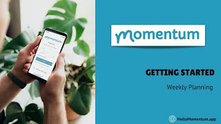 Webinar - Getting Started With Momentum (January edition)