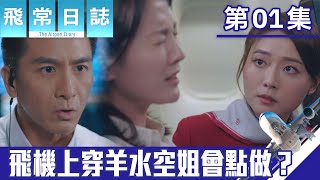 飛常日誌｜飛機上穿羊水，空姐會點做？｜馬國明｜蔡思貝｜高海寧｜洪永城｜職業劇｜TVB港劇精華｜TVBUSA
