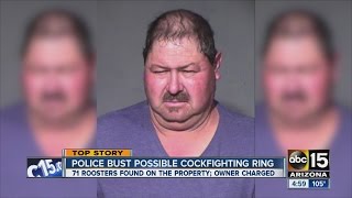 Man arrested in connection to cockfighting ring