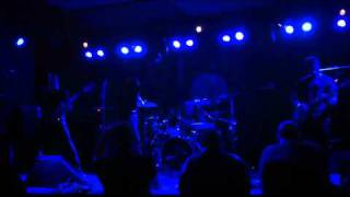 Beta Plus Embryo - The Swarm