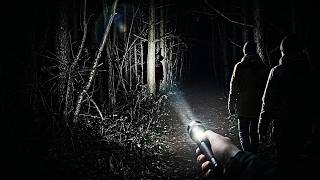 Together After Dark: We Are Being Hunted in the Shadows!