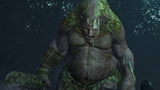 【ドラゴンズドグマオンライン(DDON)】