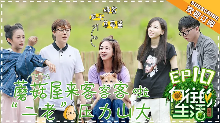 《Back to Field 2》EP10  | Huang Lei, Peng Yuchang, He Jiong, Henry Lau【湖南卫视官方频道】 - DayDayNews