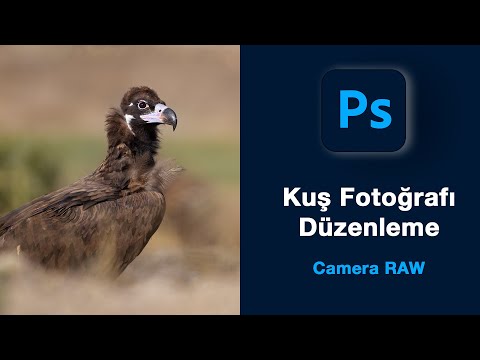 Video: Kus on Photoshop 2020 servade täpsustamine?