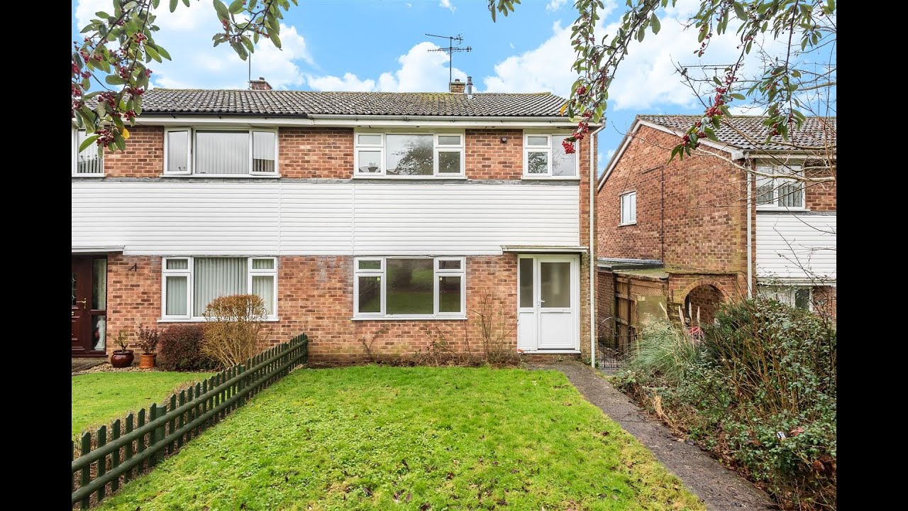 Hollis Auctions YouTube