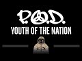 Pod  youth of the nation cc  karaoke instrumental lyrics