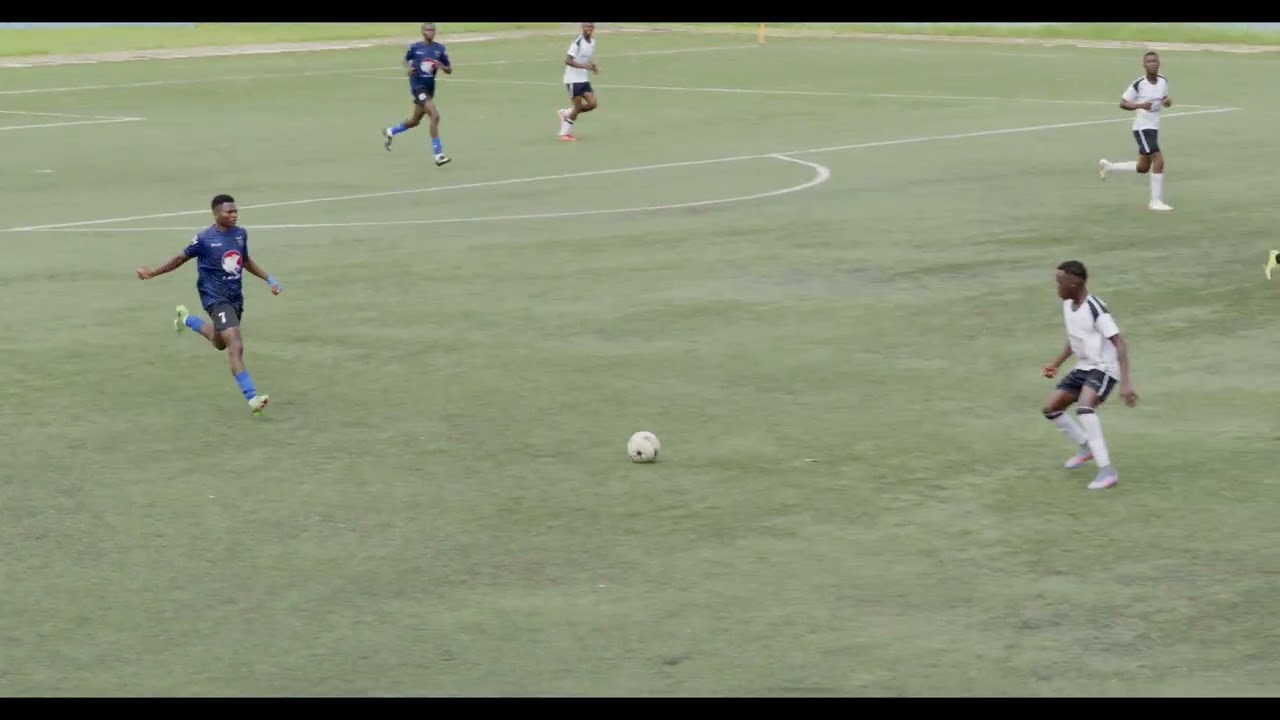 RESUMO Meia Fina Black Bulls 4 ACM 0