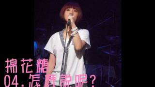 20100620好日子圓夢演唱會04怎麼說呢