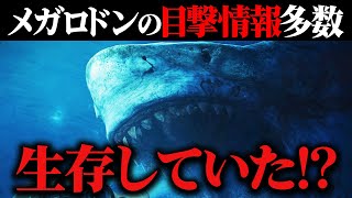 【ゆっくり解説】史上最大の海の怪物 メガロドンが生存している証拠をゆっくり解説