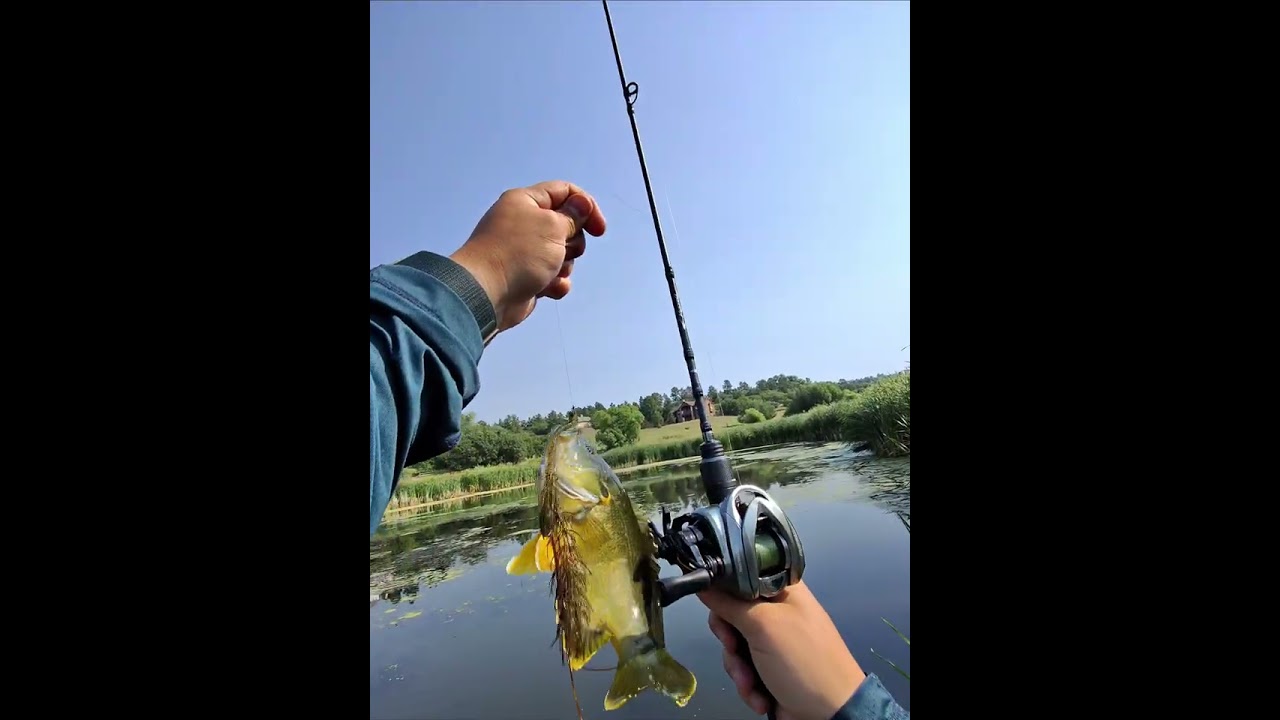 Wednesday 8/13 quick fishing fix, testing out the gummy worm