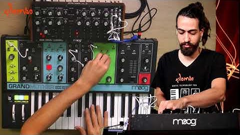 Moog Grandmother and Moog DFAM live session at Kilombo