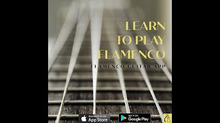 Learn Flamenco Guitar App.  Free download! screenshot 2