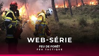 Web-série : feu de forêt : épisode 6 : le feu tactique
