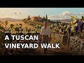 A Tuscan Vineyard Walk 🍇 Lofi Mix to Study & Work to 🎵 golden-hour harvest beats