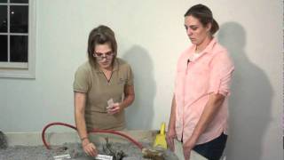 Stream Table Demonstration in Russian.mp4