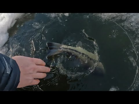 Bass Fishing Through The Ice