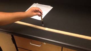 Linear Motion Lab