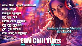 Sinhala EDM Mixtape 16 | 80's Dance Melody | Avi beats
