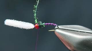 Rojo Midge   4K