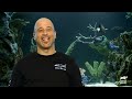 It Needs a Lighthouse!? Gigantic Casino Aquarium | Tanked | Animal Planet