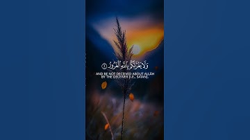 قرآن كريم 🤍🌹 راحة نفسية وسكينة 🤍 #المصحف #يارب #القزابري #لايك