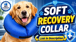 BENCMATE Inflatable Dog Collar Review | Comfortable Recovery Cone
