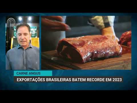 Carne Angus | Exportações brasileiras batem recorde em 2023 | Canal Rural