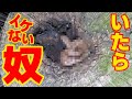 カブトムシ採りに行ったら、出会ってはいけないやつがいました…