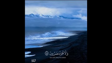 مقطع قصير|سوره البقرة|بتلاوه الشيخ عبدالله الموسى|اجر لي ولكم.