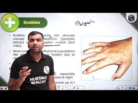 14  590 Skin 08 Anatomy and Physiology Part 8 Recorded 🔥 𝐑𝐄𝐀𝐋 𝐙𝐎𝐊𝐄𝐑