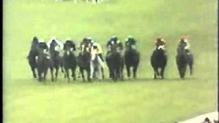 Horse Racing 1981 King Stand Stakes Ascot. Marwell & Standaan.wmv