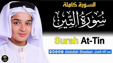 🌿 سورة التين بصوت نادر الجمال | تلاوة تهز القلوب | القارئ عبدالله أحمد شعبان