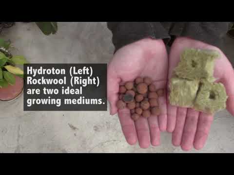 Ebb & Flow Hydroponic System: Deconstructed