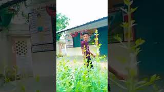 Monday Missy Beats Statustrending virel